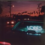 vinyle we are scientists lobes curacao transparent recto