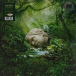 disque vinyle weezer sznz spring glow in the dark recto