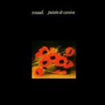 vinyle renaud putain de camion recto