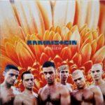 vinyle rammstein herzeleid