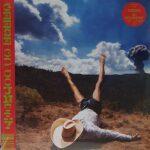 VINYLE GEESE 3D COUNTRY RECTO