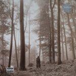 vinyle taylor swift folklore recto