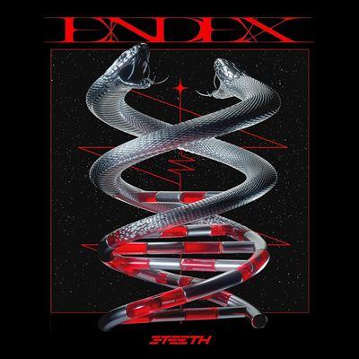 vinyle 3teeth endex recto