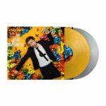 vinyle the divine comedy charmed life the best of recto