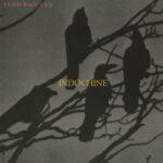 vinyle indochine 7000 danses recto
