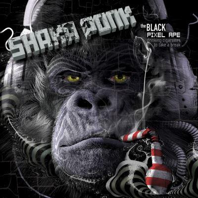vinyle shaka ponk the black pixel ape recto