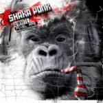 vinyle shaka ponk the white pixel ape
