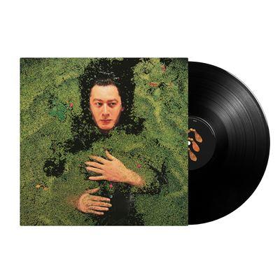 vinyle alain bashung fantaisie militaire recto