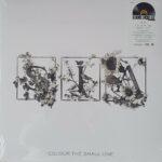 vinyle sia colour the small one rsd 2024 recto