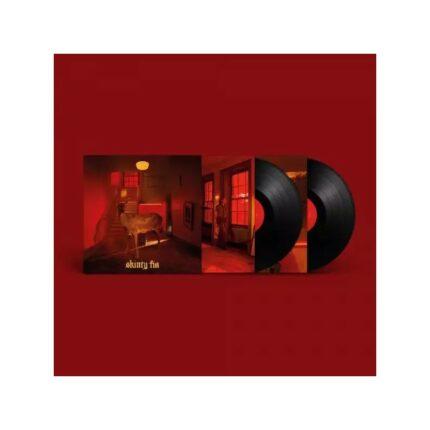 double vinyle fontaines dc skinty fia edition deluxe recto