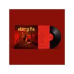 vinyle fontaines dc skinty fia vinyle noir recto