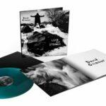 vinyle bleu translucide david gilmour luck and strange recto