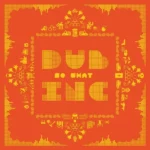 vinyle dub inc so what