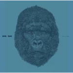 pochette recto vinyle dub inc millions