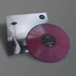 pochette vinyle liars recto
