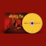 pochette cd fontaines dc skinty fia