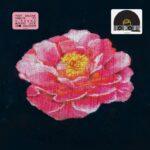 pochette recto vinyle jaune post malone tribute to nirvana rsd 2025