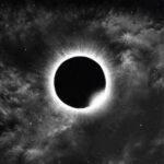 pochette recto vinyle blanc & noir der weg einer freiheit stellar