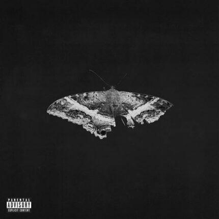vinyle kendrick lamar to pimp a butterfly edition anniversaire