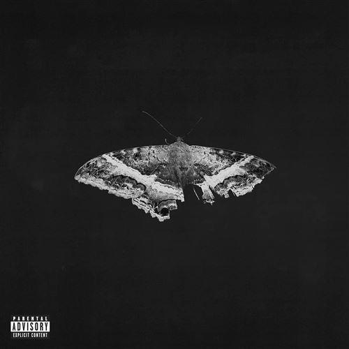 vinyle kendrick lamar to pimp a butterfly edition anniversaire
