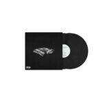 vinyle noir kendrick lamar to pimp a butterfly edition anniversaire