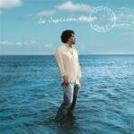 vinyle laurent voulzy la septième vague