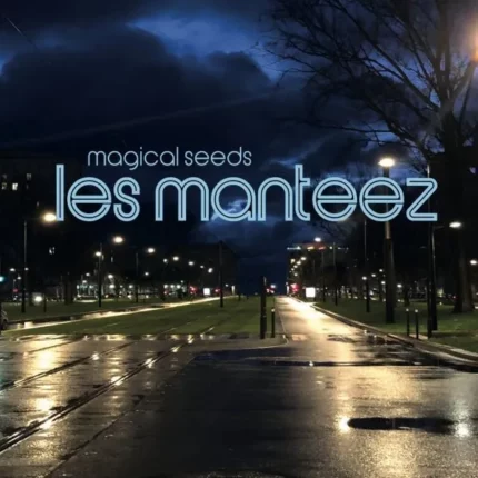VINYLE LES MANTEEZ MAGICAL SEEDS