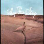 vinyle rose margo price strays