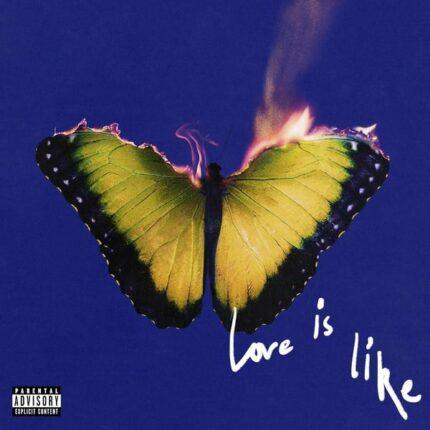 vinyle violet maroon 5 love is like