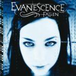 vinyle evanescence fallen