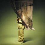 vinyle kobo anagenèse