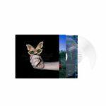 vinyle transparent soulwax all systems are lying