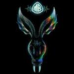 vinyle orange Mr bungle the night they came home