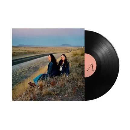 vinyle plains i walked with you a ways