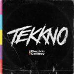 vinyle electric callboy tekkno