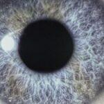 vinyle bleu dan swano moontower