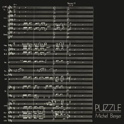 vinyle michel berger puzzle