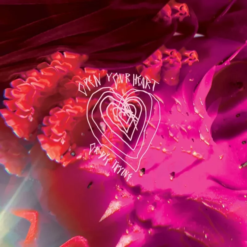 vinyle arcade fire open your heart or die trying rsd 2026