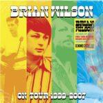 vinyle marbré brian wilson on tour 1999 rsd 2026