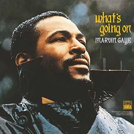 vinyle marvin gaye what's going on