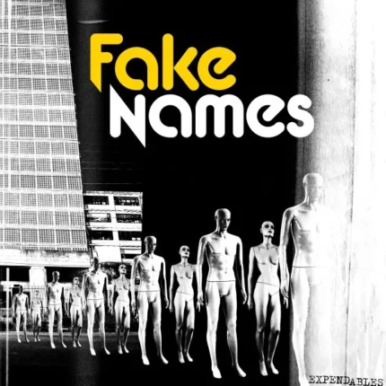 vinyle noir et blanc fake names expendables