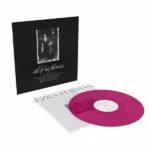 vinyle violet ezra furman all of us flames