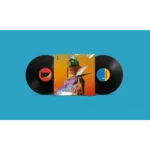 vinyle flume palaces