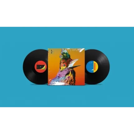 vinyle flume palaces