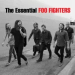 vinyle the essential foo fighters