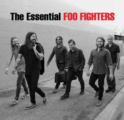 vinyle the essential foo fighters