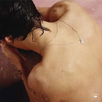 vinyle harry styles - harry styles