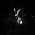 vinyle rose néon ghostkid follow the white rabbit