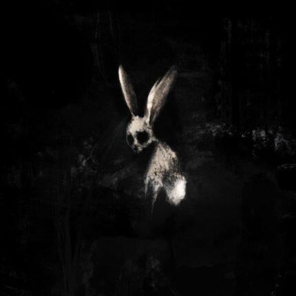 vinyle rose néon ghostkid follow the white rabbit