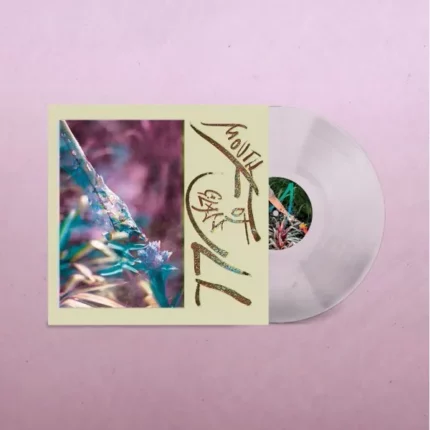 vinyle transparent macie stewart mouth full of glass